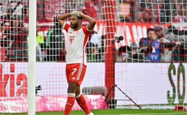 1702222939118035534.jpg 格纳布里.jpg